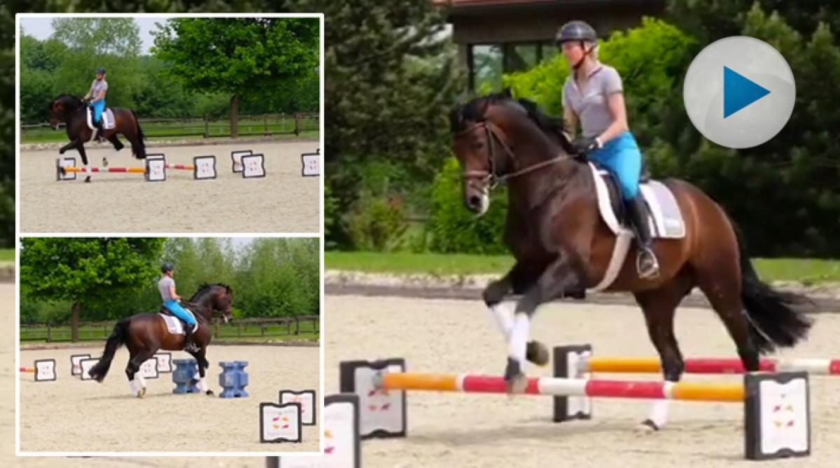 Inspireras av Ingrid Klimke – träna "åttan" över kavaletti