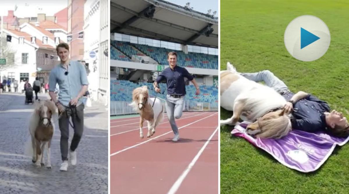 Anton och Carl Hedin tar tempen på EM-staden