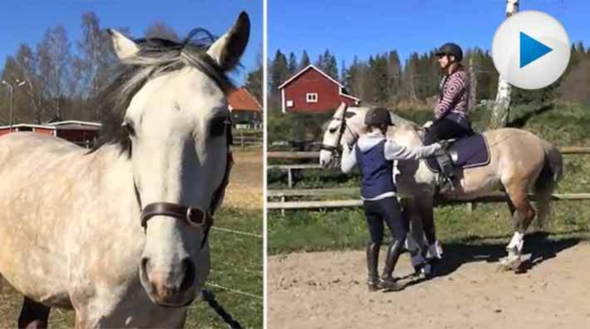 "Grön" journalist fick prova piaff