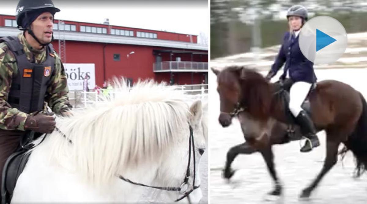 Dogge coachar toppryttare i tölt: ”En halvhalt på det dära!”