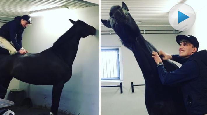 När det är så otroligt skönt att bli kliad – Carl och "Apan" visar hur man gör
