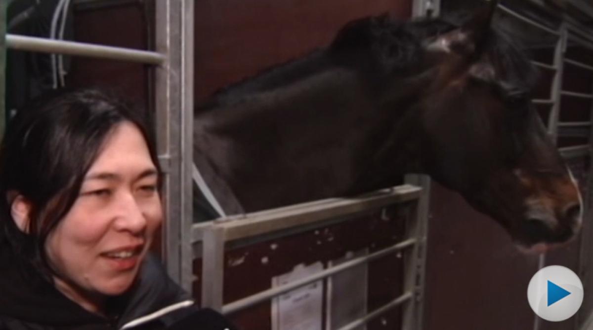 Casalls hästskötare: "Har varit mitt livs äventyr"