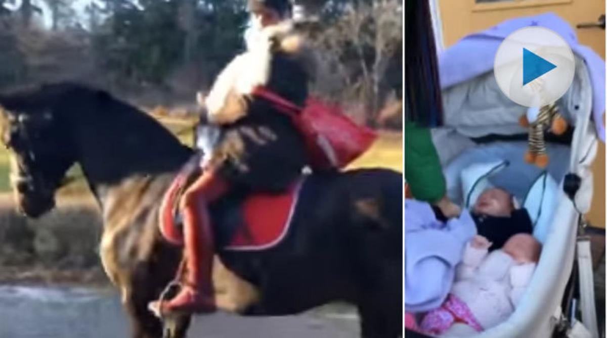 Tomten tog hingsten Wellington när Rudolf blivit halt