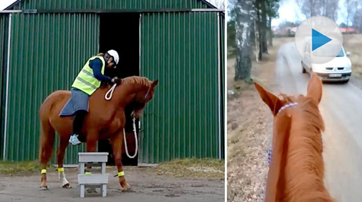 Häng med på uteritt med Carolines coola treåring