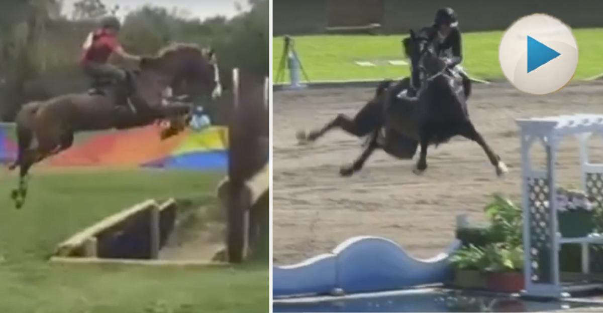 Vissa hästar har nog en kamera under varje hov