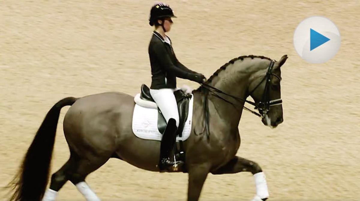Valegro tog farväl – läs Hippsons direktrapport nedan