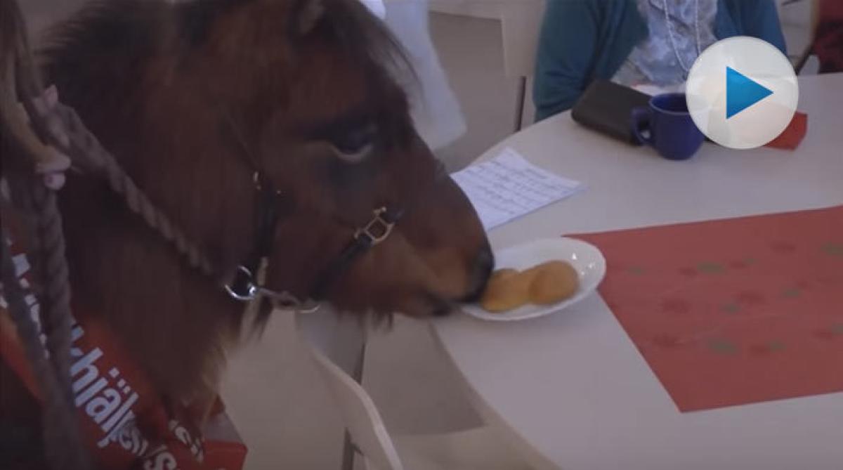 Minishettisen Bosse bjöds på lussefika i församlingshemmet