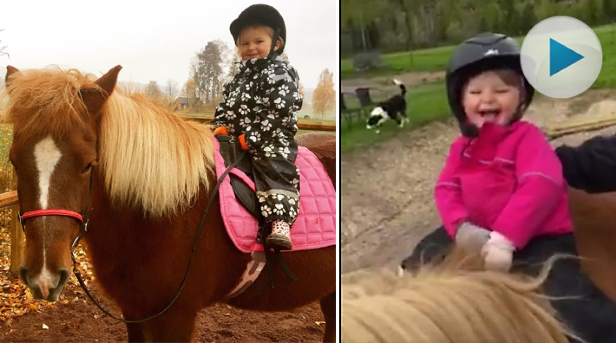 Tvååriga Albas första trav: "Det kittlar i magen"