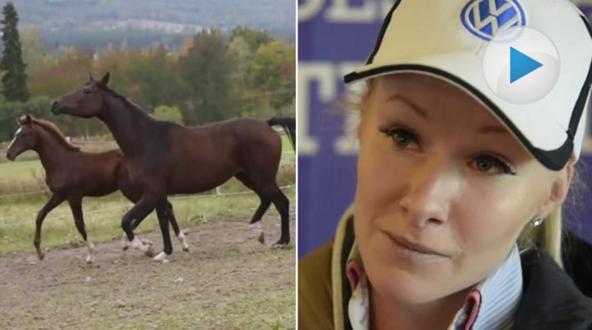 Familjen Tovek köpte rekordfölet Fabulous M