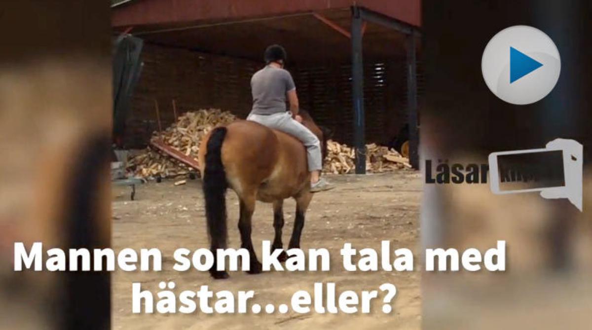 Kaxige ryttarsambon förödmjukas – kan bli årets klipp