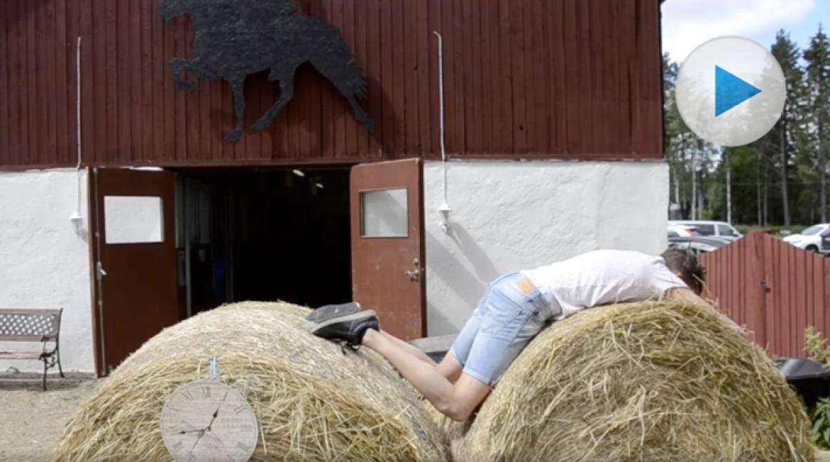 Hästmänniskans "några minuter" kan vara långa...