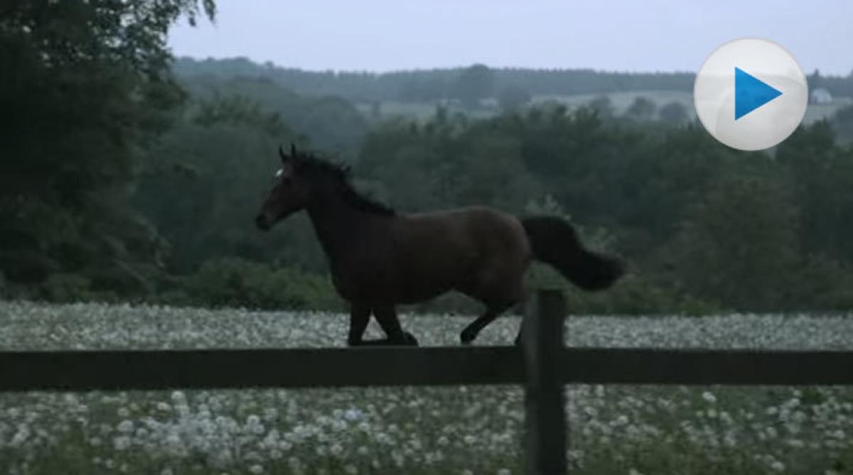 All In – atleten som är på väg till OS