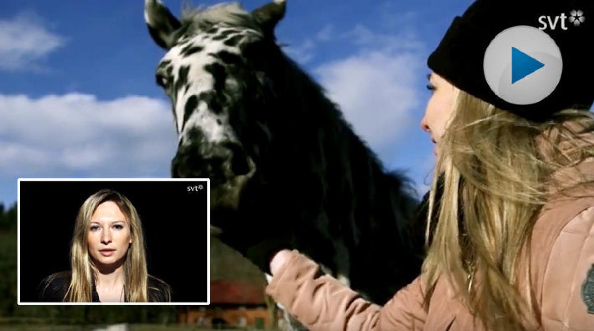 SVT efterlyser din historia – om svartjobb och usla arbetsvillkor i hästbranschen