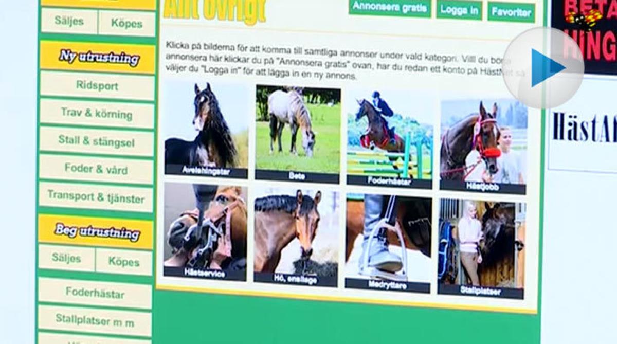 Kvinnor fick sexsamtal efter att ha annonserat på hästsajt