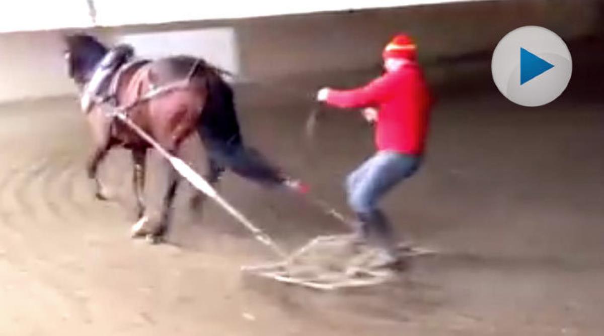 Vem behöver traktor när man har en häst?