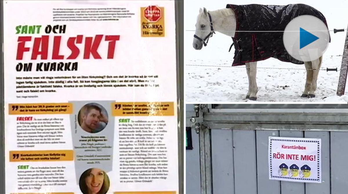 Kvarkautbrott på flera håll: ”Ingen sjukdom man vill ha in”
