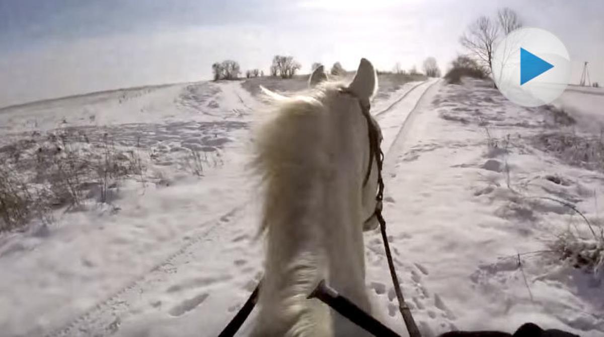 Snöig uteritt som värmer i juletid
