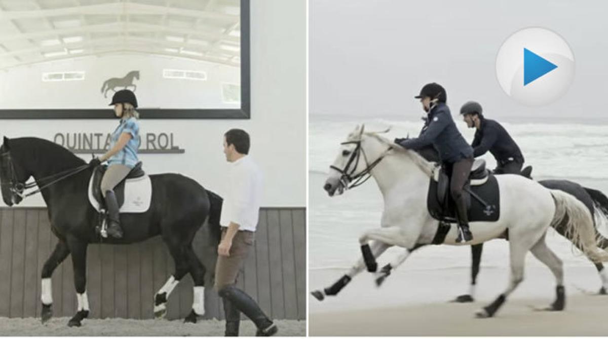 Semester med hästar och vinprovning i vacker miljö