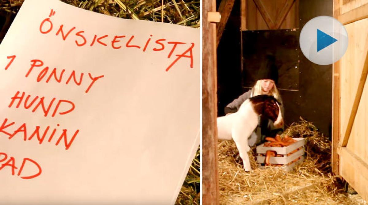 Julföljetongen, del 1: Drömmen om en ponny