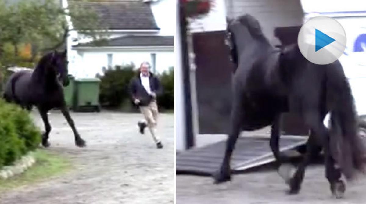 Lekfull lastningsträning – full fart in i transporten