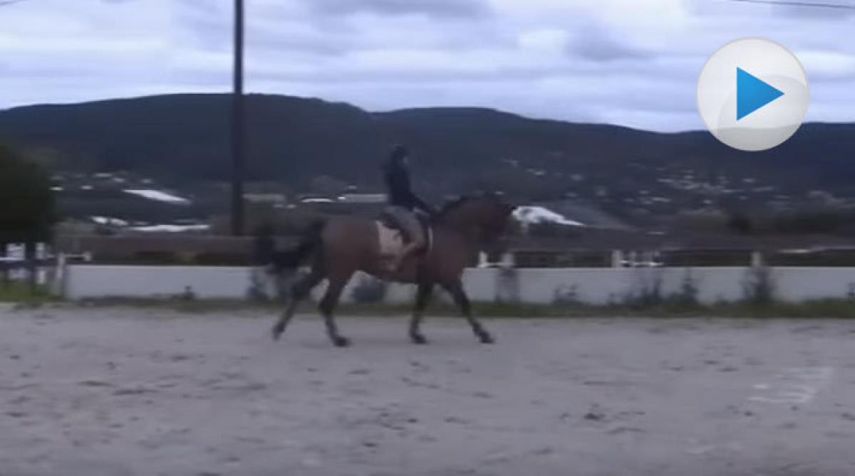 Norsk ledning i bytesutmaningen