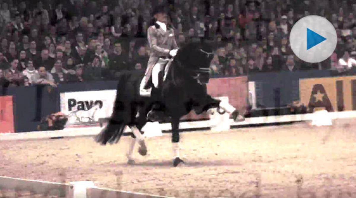 En hyllning till kung Totilas – hästen som förändrade dressyrsporten