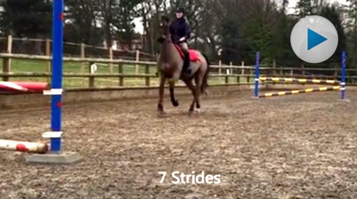 Variera antalet galoppsprång – har du den här kontrollen?