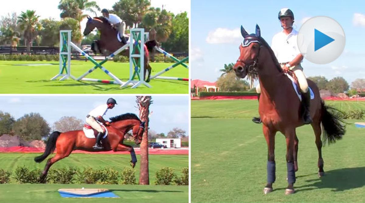 Ridövningar à la Rodrigo Pessoa