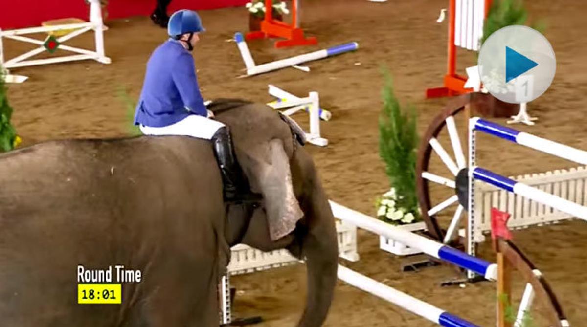 Elefanthoppning – en ny gren?