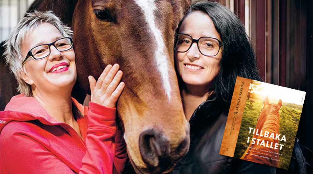 Inspiration för återvändande hästälskare
