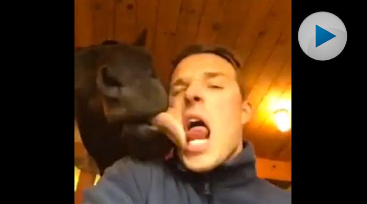 Eriks blöta "hästhångel" välte Internet