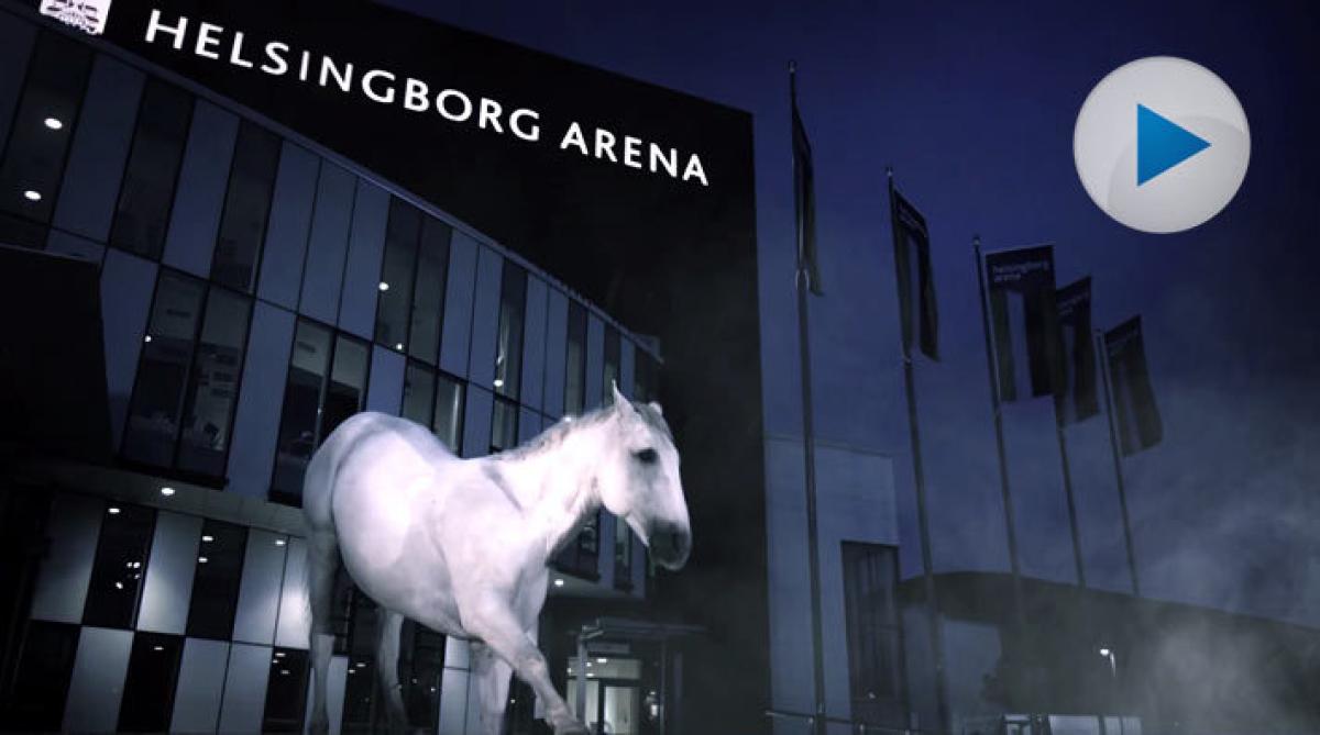 Stämningsfullt inför Helsingborg Horse Week