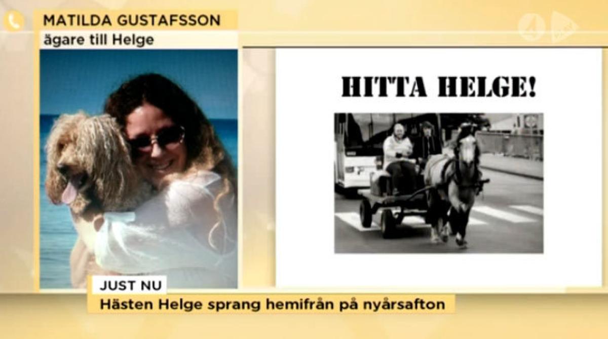 Hjälp Matilda att hitta hästen Helge