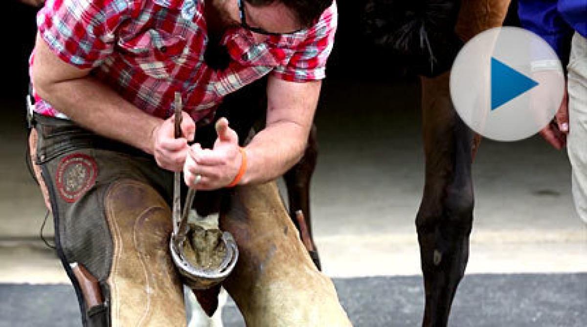 Så drar du av en sko – och kollar pulsen vid kotan