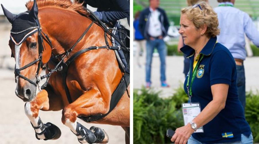 Maria Gretzer hoppas på ögonöppnare: "Många som livnär sig på vår sport"