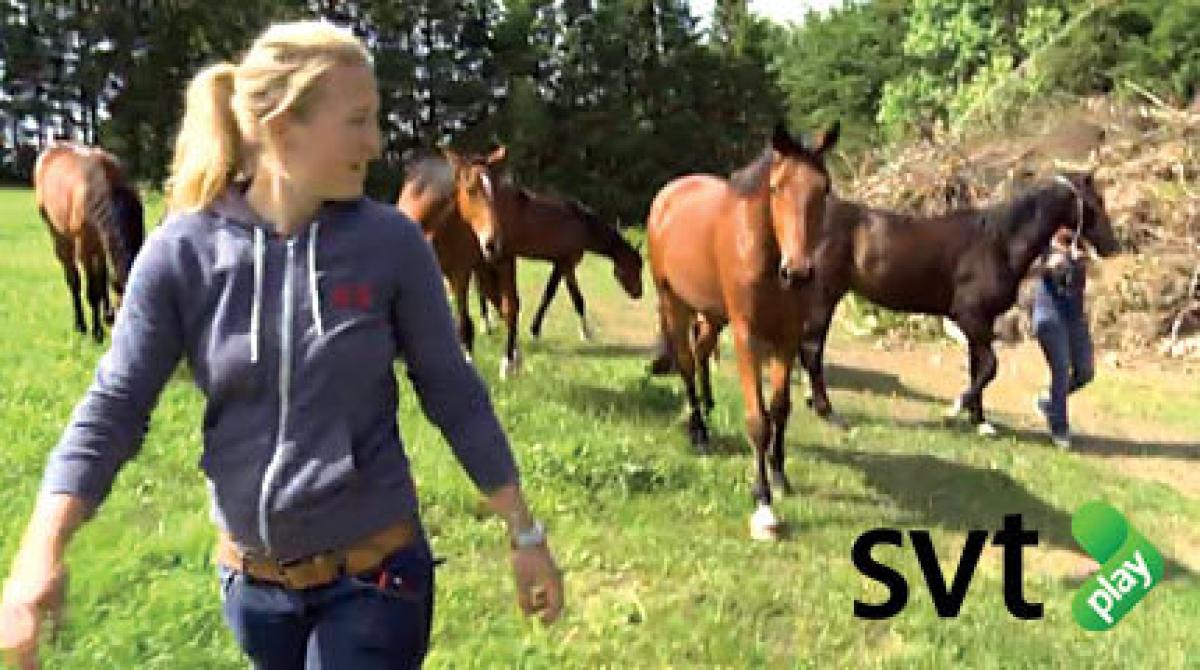 ”Den är skitjobbig och viftar med frambenen!”