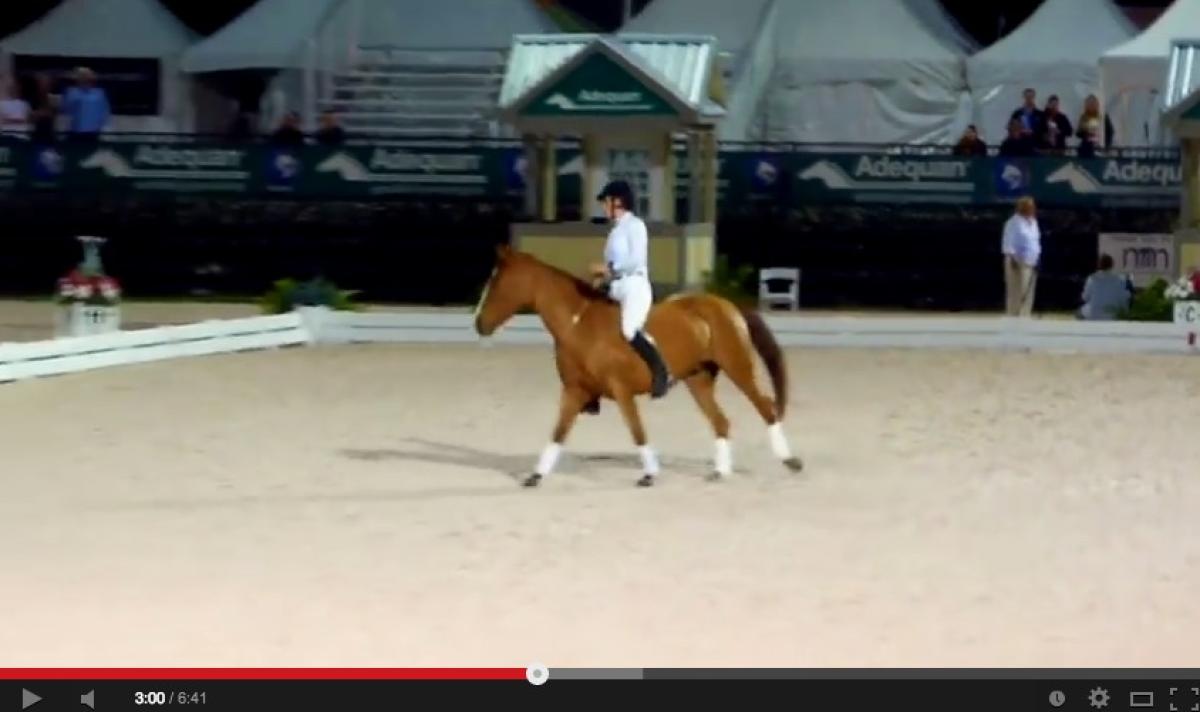 Uppvisning av Elisa Wallance och hennes mustanger