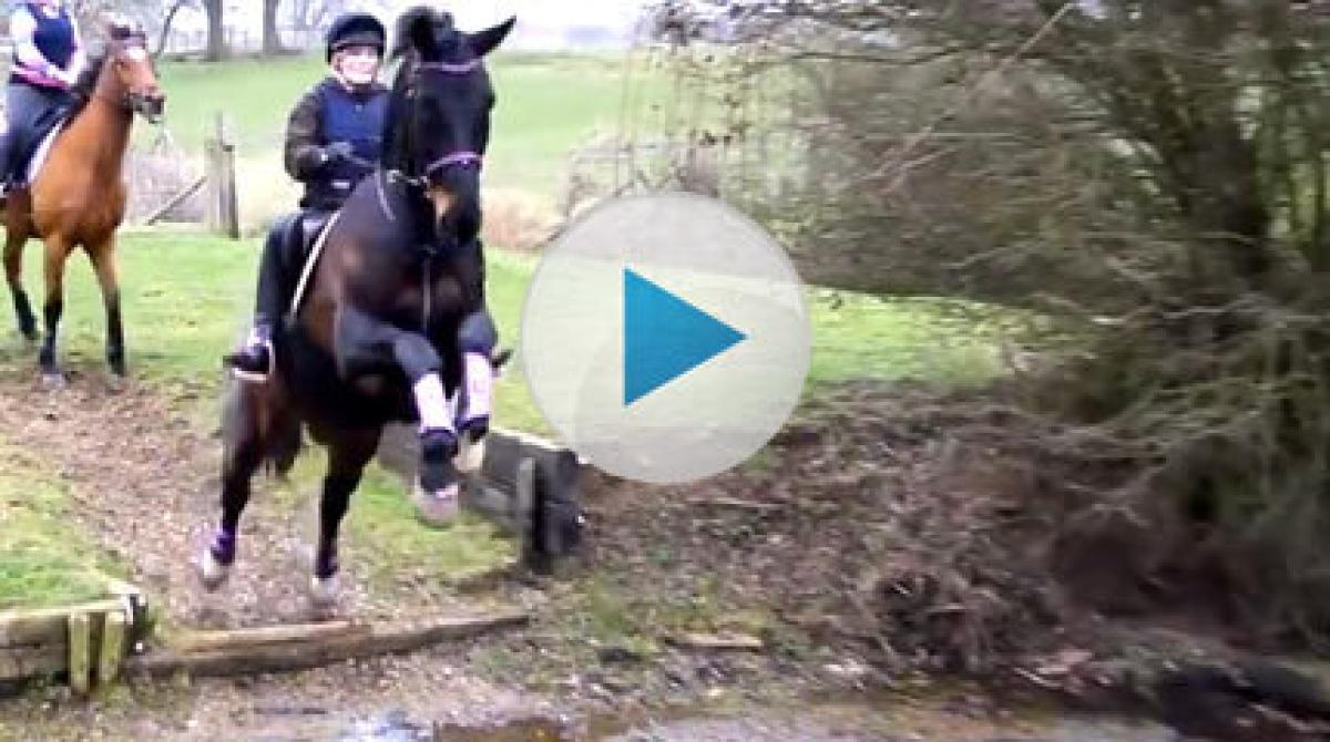 Webb-tv: Därför är han ingen fälttävlanshäst...