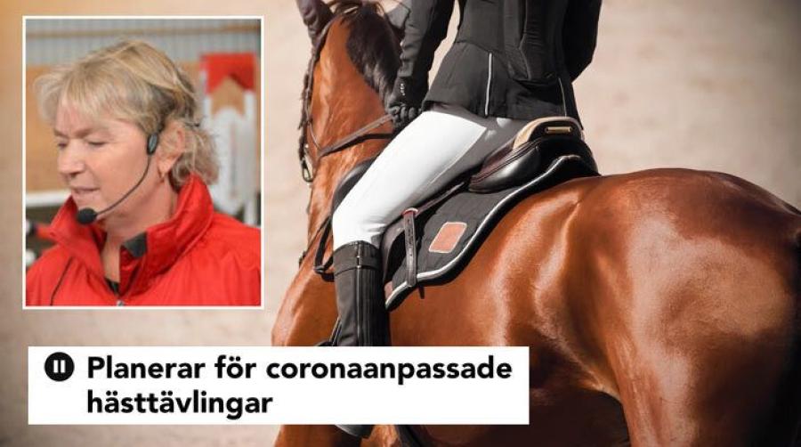 Arkivfoto: Adobe Stock och Ronja Nåred (porträtt)