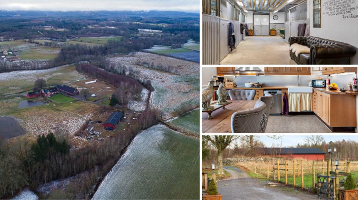 Mysig hästgård i södra Halland