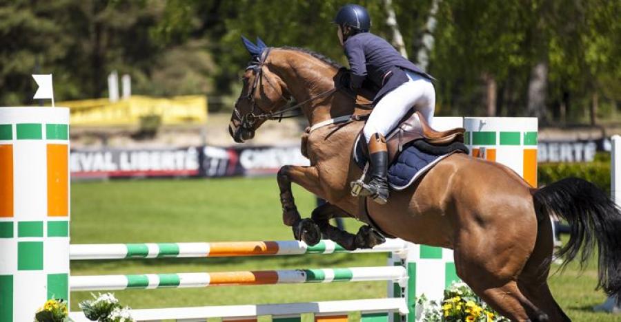 Arkivfoto: Adobe Stock