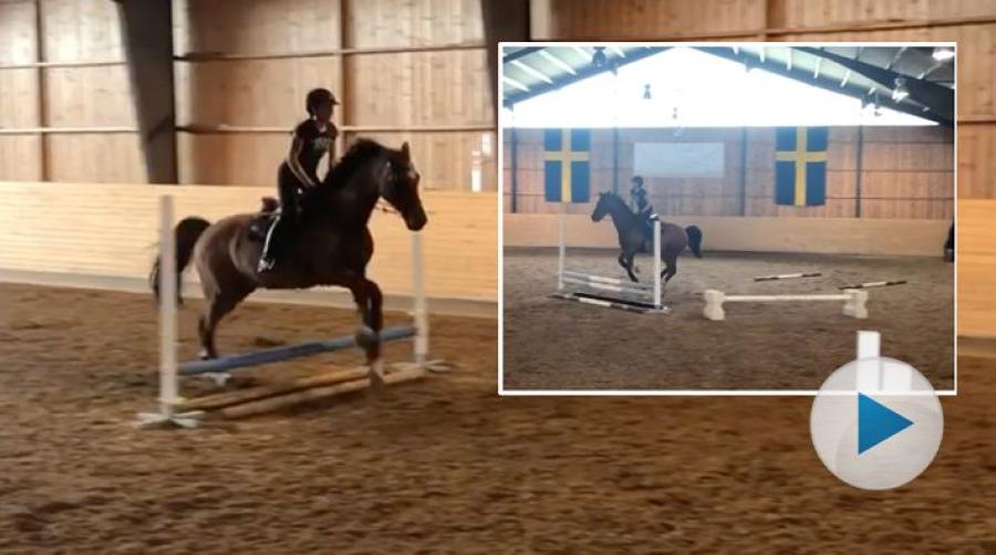 Ryttaren och tränaren Sara Li Vestberg tipsar om en övning som tränar hästens rakriktning och uppmärksamhet, såväl som ryttarens tajming och fokus.