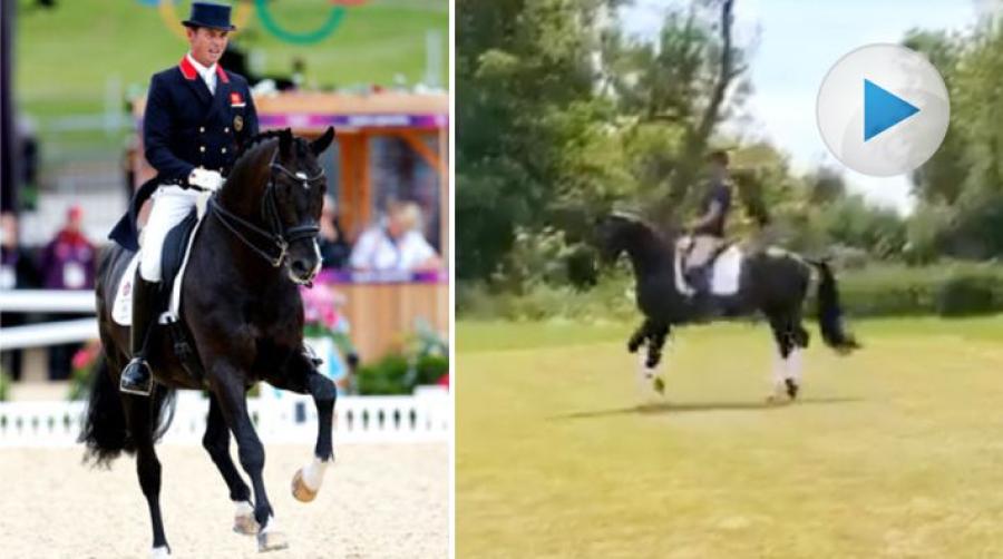 Den vackra hingsten har hunnit bli hela 19 år gammal. Topphästen är som bekant Carl Hesters stjärna och de var med i det brittiska laget som tog OS-guld.