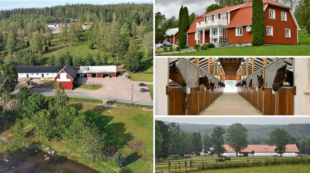 Stor gård med mängder av möjligheter mitt i Småland