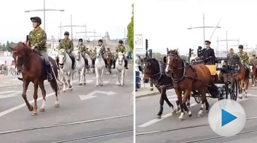 I dag den 6 juni är det Sveriges nationaldag, vilket i vanliga fall brukar innebära en nationaldagskortege genom Stockholm. Tyvärr blir den inte av i år.