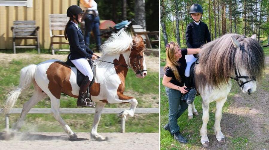 Sanna och Melissa till häst, Johanna står på marken.