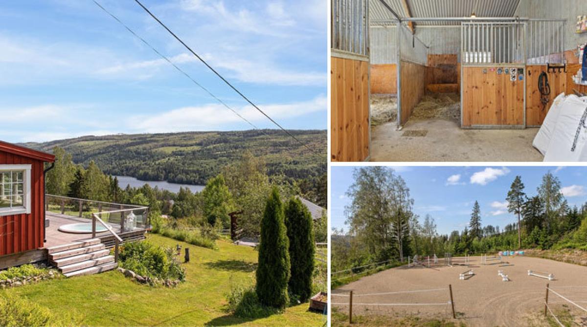 Liten hästgård utanför Sundsvall – med ridbana, tre boxar och bländande utsikt