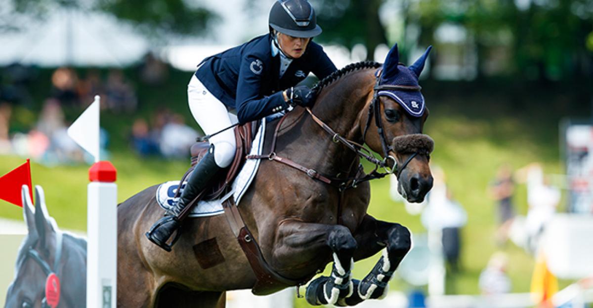 Arkivfoto: Tomas Holcbecher