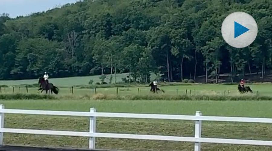 <p>Johanna DueBoje satt upp på Mazy Klövenhöj och tog med sig eleverna Klara Svanberg och Nellie Liljegren ut på en galopp över gröna sommarängar.
