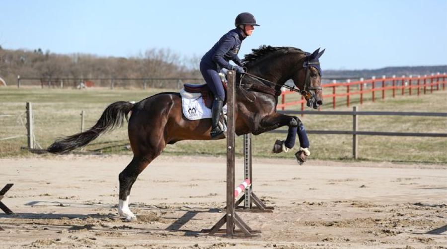 Tränar hästens styrka och kvickhet